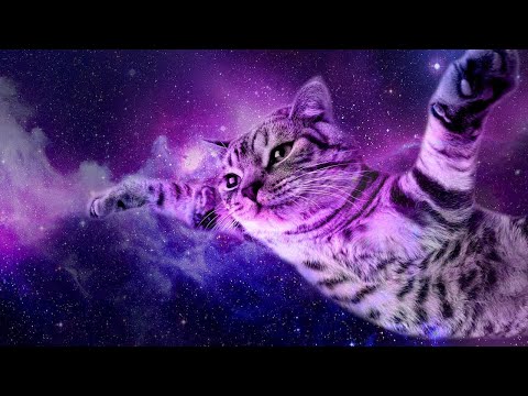 Заказы, сайты - Фриланс, веб-разработка, верстка. HTML CSS JS PHP LARAVEL BITRIX WORDPRESS