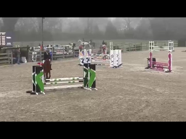 Riding and jumping movie Catie-blue v/h Beeckhof (Corydon T&L x Blue Boy).