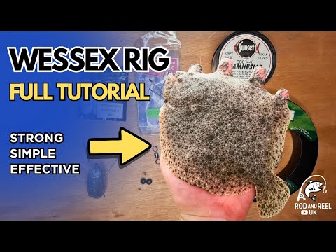 Wessex Rig Tutorial For Beginners ... Shore Fishing Made Easy