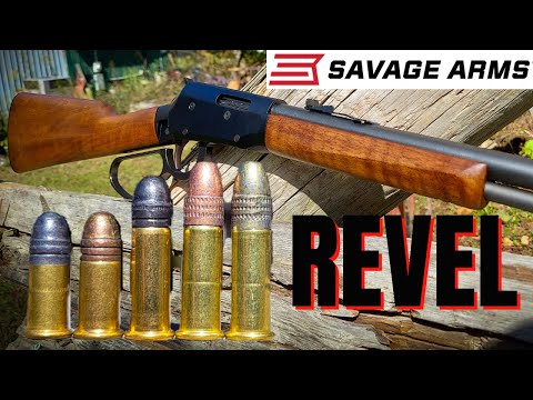 22 Shorts, CB Long, Subsonic, and Supersonic [NEW Savage REVEL]