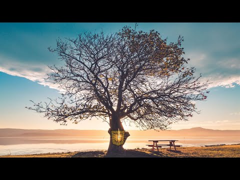 Data Structures and Algorithms in JavaScript: Merkle Tree