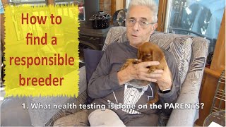 How To Find A Responsible Breeder