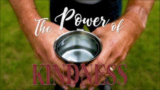 The Power of Kindness: Between The Rock and a Hard Place