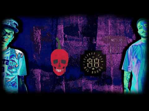 Pimenta - 412R f. Opaidaceci