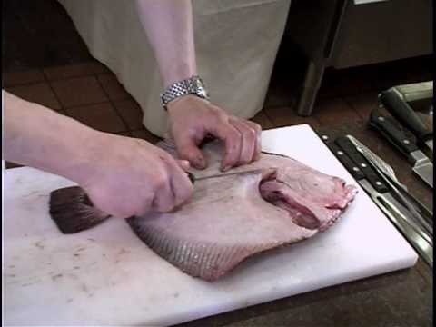 Thomas Rode Andersen - kokkeskole pighvar