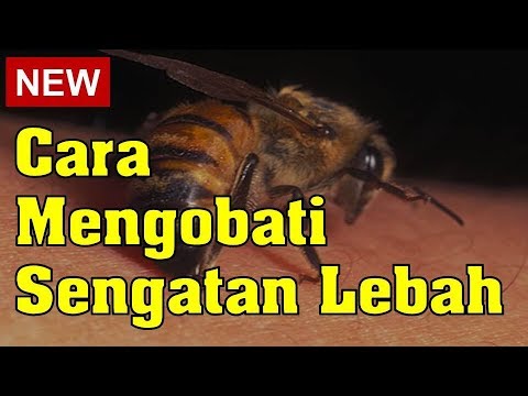Operasi kedua untuk meningkatkan anggota Memperbesar mengisi penis Anda
