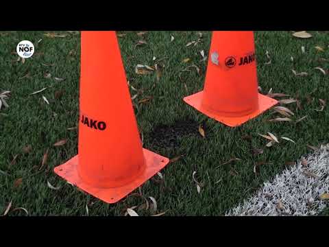 Voorzitter VV Hardegarijp na schade aan sportpark: "Dit doet zeer, heel veel zeer"