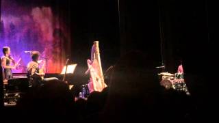 Joanna Newsom - Monkey and Bear (Live - 12.11.2015)