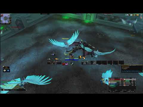 The Necrotic Wake Shadowlands Dungeon Beta Footage, Disc Priest PoV