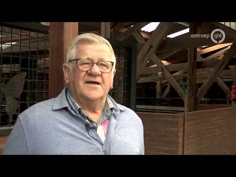 Randstedelingen in de Achterhoek: allemaal op inburgeringscursus?