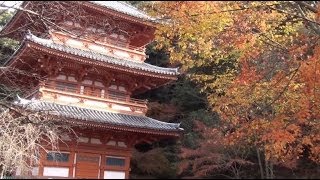 preview picture of video 'Kiyomizu-dera in Autumn (1080p) - Miyama, Fukuoka - Japan As It Truly Is -  清水寺　- 福岡県みやま市'