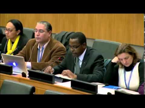 Mr. Dyborn Chibonga - World Farmers Organization - January UN Post-2015 Negotiations