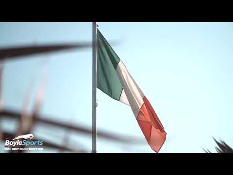 BoyleSports Champion Stakes & Champion Plate semi-finals at Shelbourne Park