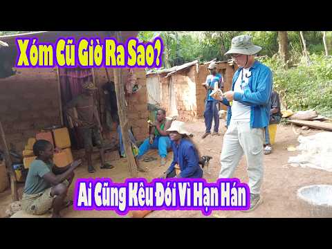 Thăm lại xóm rừng và nhà cũ của Antonio Maria|| 2Q Vlogs Cuộc Sống Châu Phi