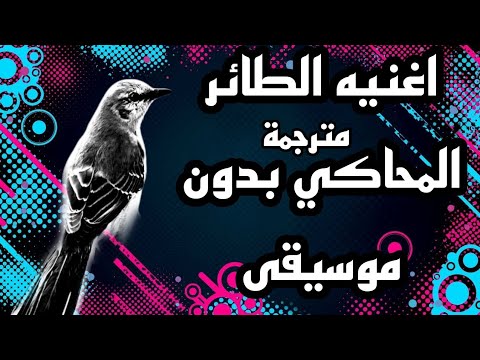 اغنية الطائر المحاكي بدون موسيقى مترجمة 2023 mockingbird song without music 2023