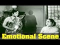 Hello Mr Zamindar Movie Savitri Emotional By Her Mannager