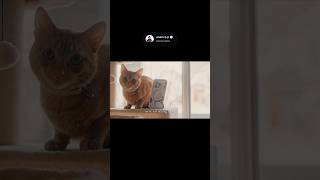 Part 4 -My Experience with iPhone 17 Pro Max as an Android User