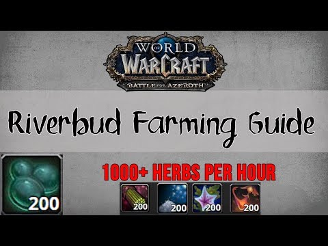 Riverbud Farming Guide *BFA Herbalism guide*