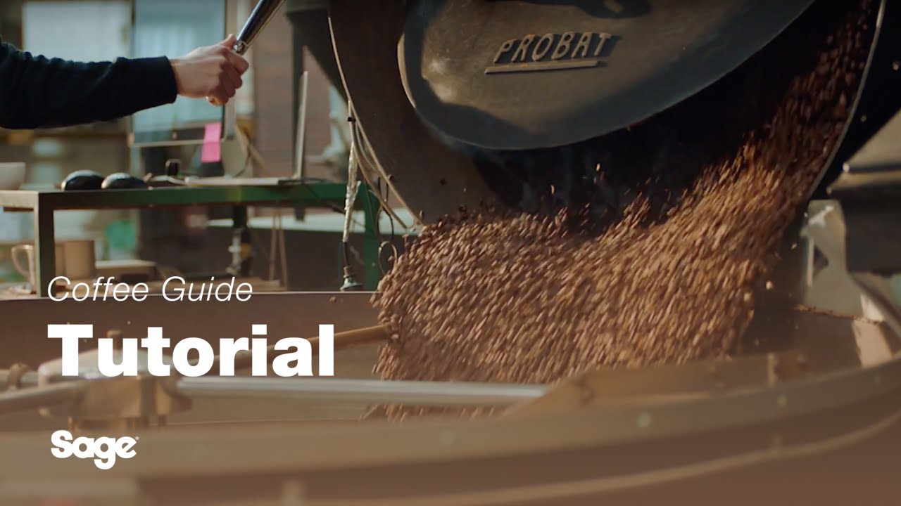 Breville coffee guide tutorial - Choosing the right beans 