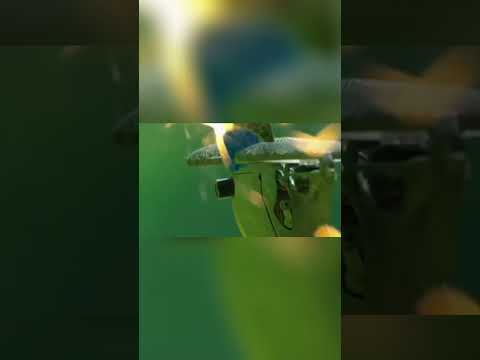 Supernova- DREAMS 2 LIFE #songannouncement #musicservice #upcomingmusician #music #rap