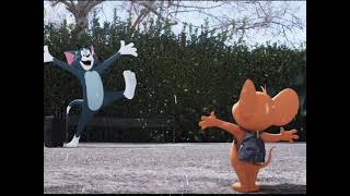 tom & jerry 🤩  whatsapp  status  video #sho