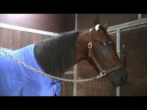 2013 Derby Day Part 1