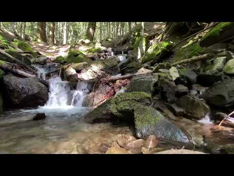 Relax-rilassante natura suoni-sonno-meditazione-acqua Very Relaxing  Video of Waterfall