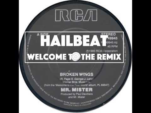 Broken Wings -  Mr Mister (Hailbeat Remix )