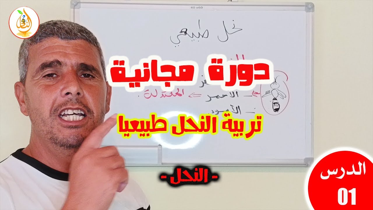 الدرس 01 / دورة تربية النحل طبيعيًا/ ما هو النحل؟ وما هي منتجات الخلية؟”