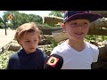 Schatgraven onder omgewaaide bomen