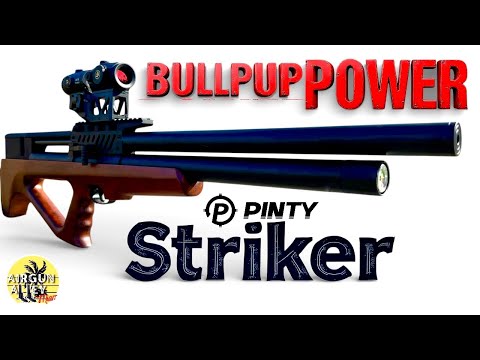 PINTY STRIKES AGAIN | 25 CAL | BUDGET BEAST 