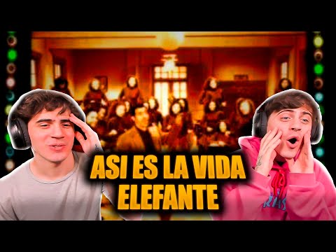 ARGENTINOS REACCIONAN A ELEFANTE - Así es la vida