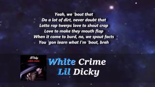 Lil Dicky-   White Crime Lyrics on Screen