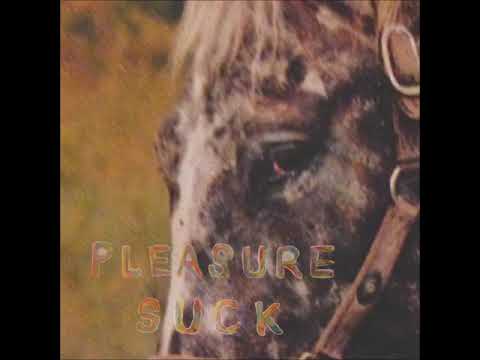 Pianos Heavy Instrument - The Spirit of the Beehive