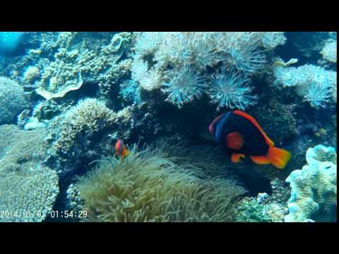 2014 0101 015429 012