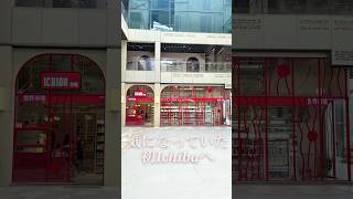 【放浪好き海外生活】インドのグルガオン！サウスポに入ってるichibaの新しい店舗へ！まだ工事中のモールAIPL Joy Centralに初潜入🇮🇳᯽Plumeria Vlog ᯽ #インド生活