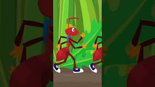 Dziesięć mrówek - Szorty dla dzieci - Śpiewające Brzdące 🐜🐜🐜