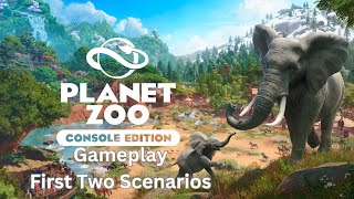 Planet Zoo: Console Edition - Gameplay - Xbox Series X - Let