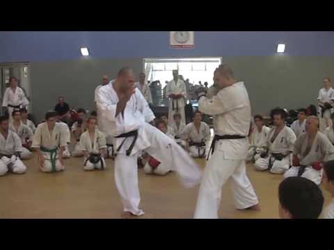 Sensei Artur Hovannisian - Duble Mawashi set