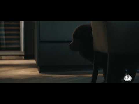 Jorrit Hendrix gaat full calimero op AFC Ajax #AJApsv #helemaalniets 🐥