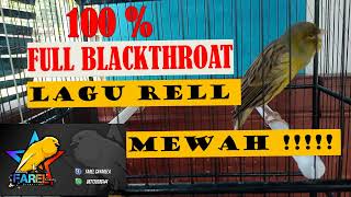Download lagu Kenari Gacor isian blackthroat dan sanger masteran burung mp3