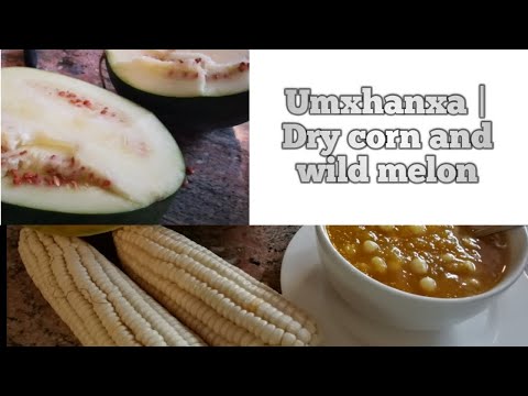 How to make umxhanxa | A Sweet 3-ingredient Northern Ndebele Traditional Dish