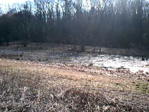 Biking in Sherborn, MA