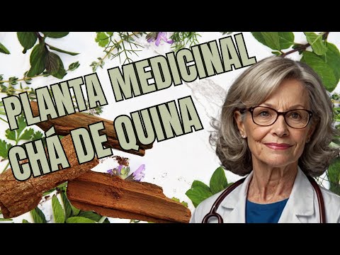 Vídeo: Quina-quina: para que serve e usos tradicionais