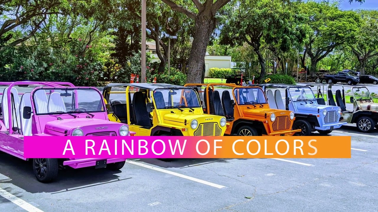 Auto Gallery Chicago Auto dealership in ADDISON