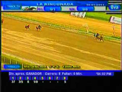 Resumen Domingo, 02 de Enero de 2011 - La Rinconada