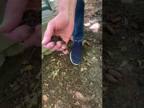 ESC 1986, Germany, Ingrid Peters - Über die Brücke geh‘n