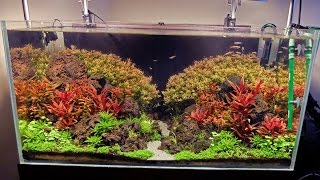 Advanced guide to lighting a planted tank - Basics first