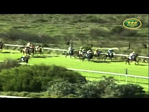 SOLAR STAR - 2012 READY TO RUN GRADUATE