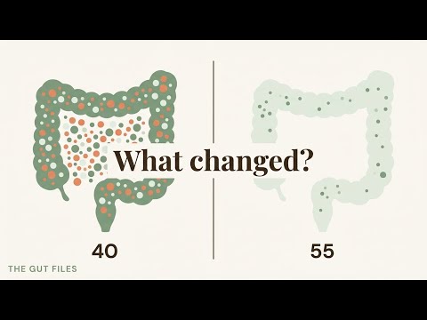 Here's What's Really Happening Inside Your Gut After Menopause